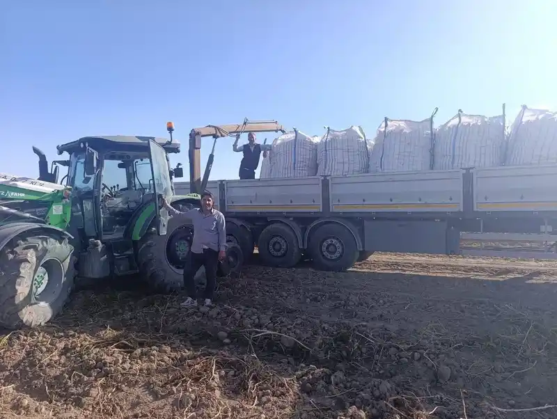 Patnos’ta patates hasadı başladı
