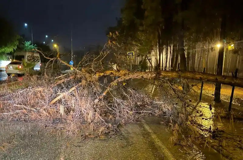 Alanya Belediyesi olumsuz hava şartlarına karşı teyakkuzda
