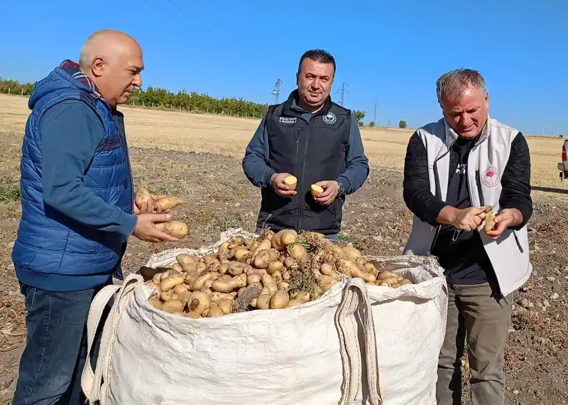 Beyşehir’de patates üreticisinin artan üretimle yüzü güldü

