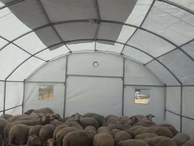 Sındırgı’da depremden etkilenen üreticilere geçici hayvan barınma çadırı desteği
