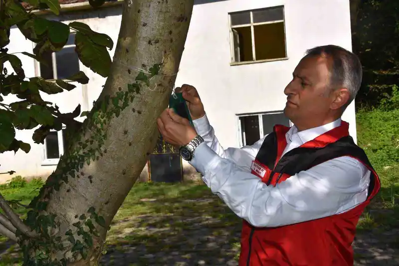 Ordu İl Tarım ve Orman Müdürü Ay: 