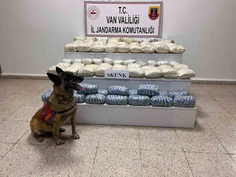 Van’da 47 kilo skunk ele geçirildi
