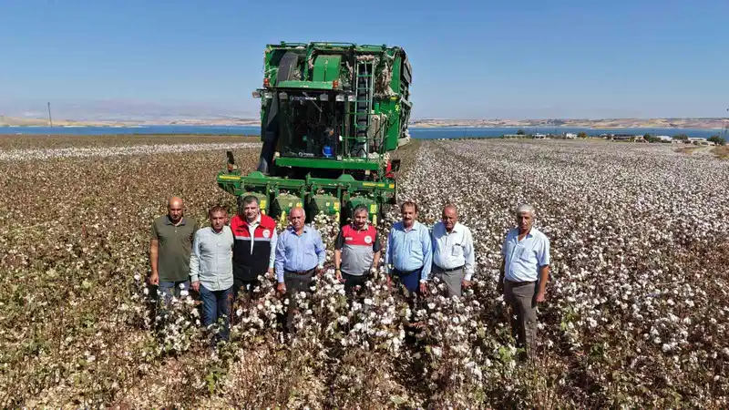 Adıyaman’da 2025 yılı pamuk hasadı başladı
