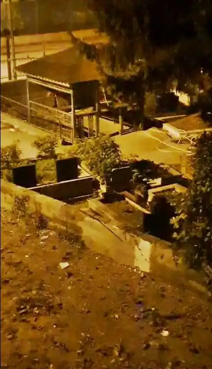 Zonguldak’ta mezarlıkta iki ayı yavrusu görüldü
