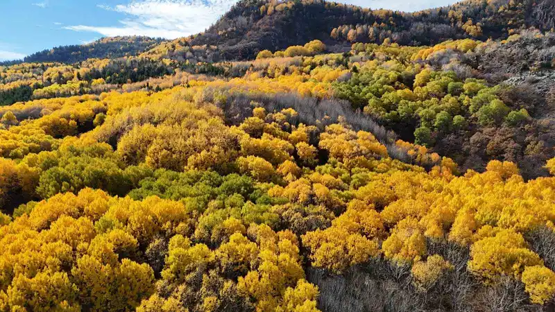 Ankaralıların doğayla buluşma noktası: 