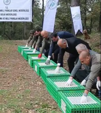 Ordu’da doğaya 200 sülün salındı
