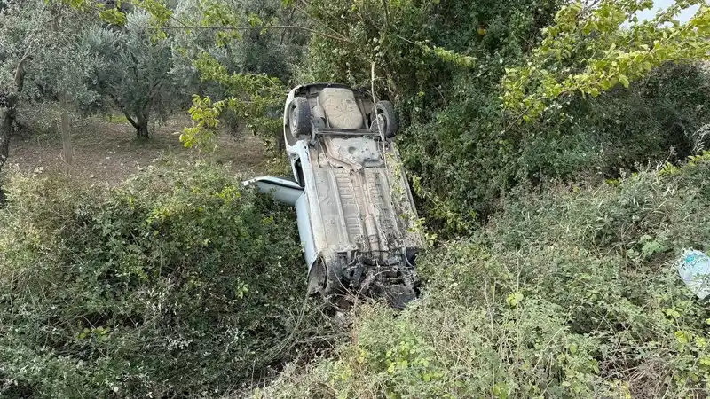 Sollama yaparken zeytinliğe uçtu

