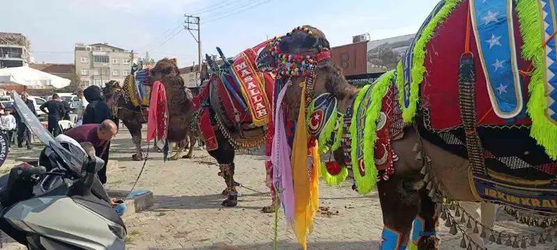 Çan’da havut giydirme hayrı düzenlendi
