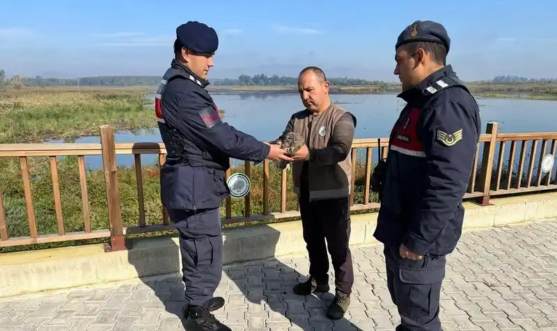 Jandarmanın hayvan sevgisi
