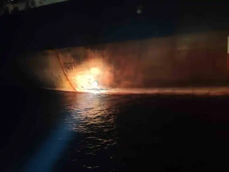 Denizcilik Genel Müdürlüğü: 