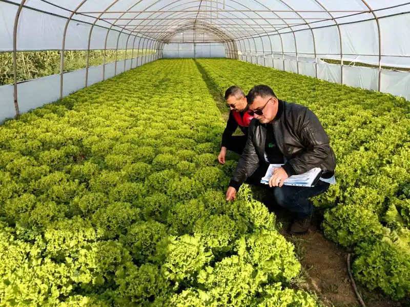 Kırklareli’nde sera denetimleri
