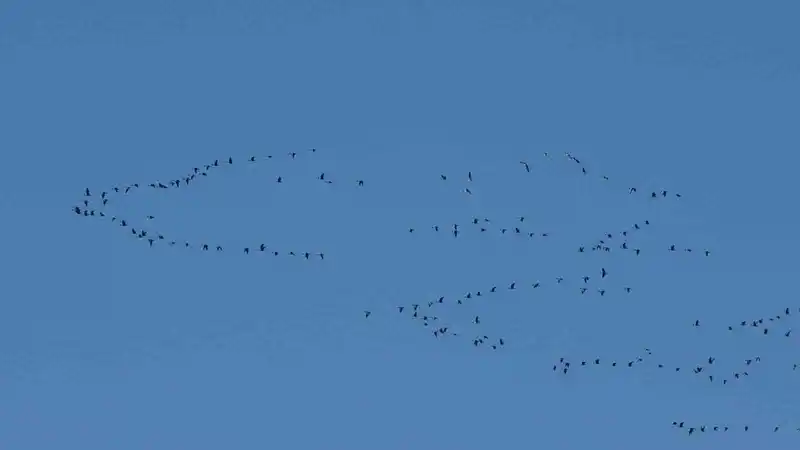 Zorlu göçün durağı Erçek Gölü
