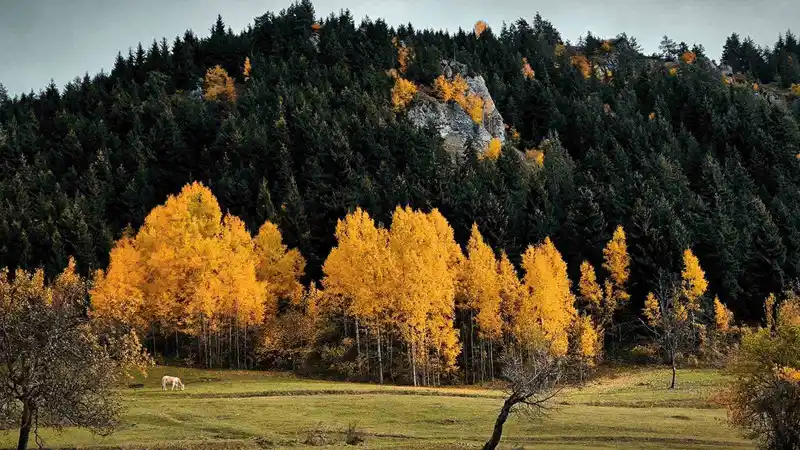 Şavşat’tan kartpostallık manzaralar
