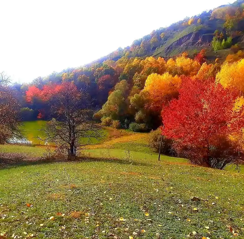 Posof’ta sonbaharla gelen güzellikler
