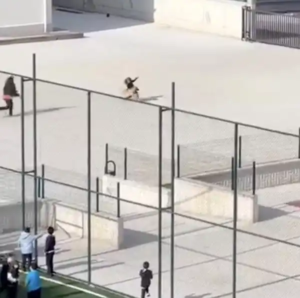 Okul bahçesine giren köpek çocuklara büyük panik yaşattı: O anlar kameraya yansıdı
