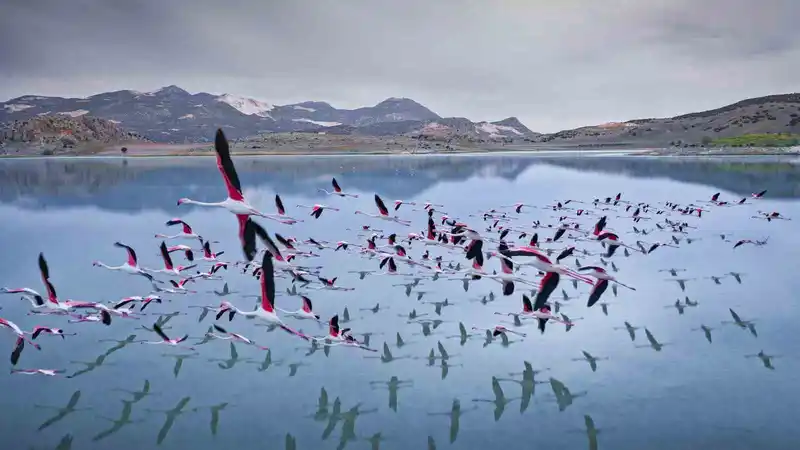 2 yıl önceye kadar flamingoları ağırlayan gölde şimdi sadece ayak izleri kaldı
