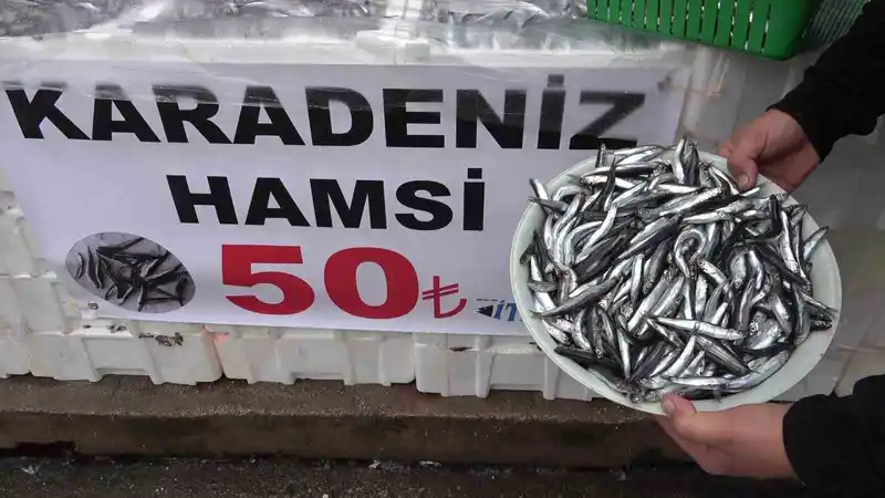 Denize kıyısı olmayan şehirde hamsinin kilosu 50 TL’ye düştü, vatandaş poşet poşet aldı

