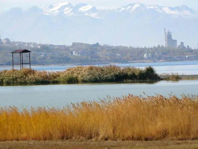 Van Gölü Havzası, Türkiye’nin en fazla sulak alanına ev sahipliği yapıyor
