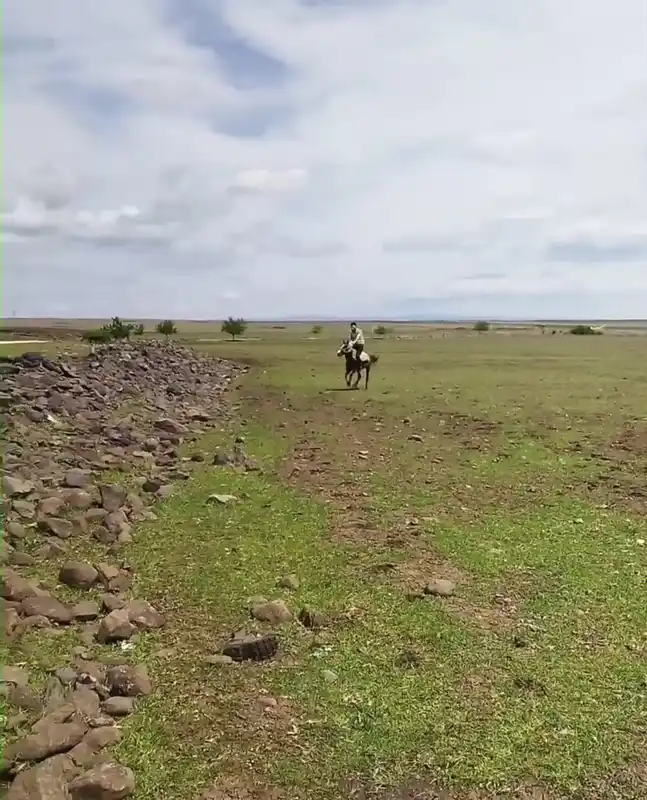 Siverek’te ilginç anlar kameraya yansıdı
