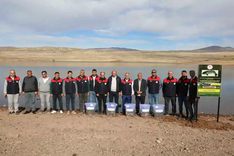 Elazığ’da Su Kaynakları Balıklandırma Projesi sürüyor
