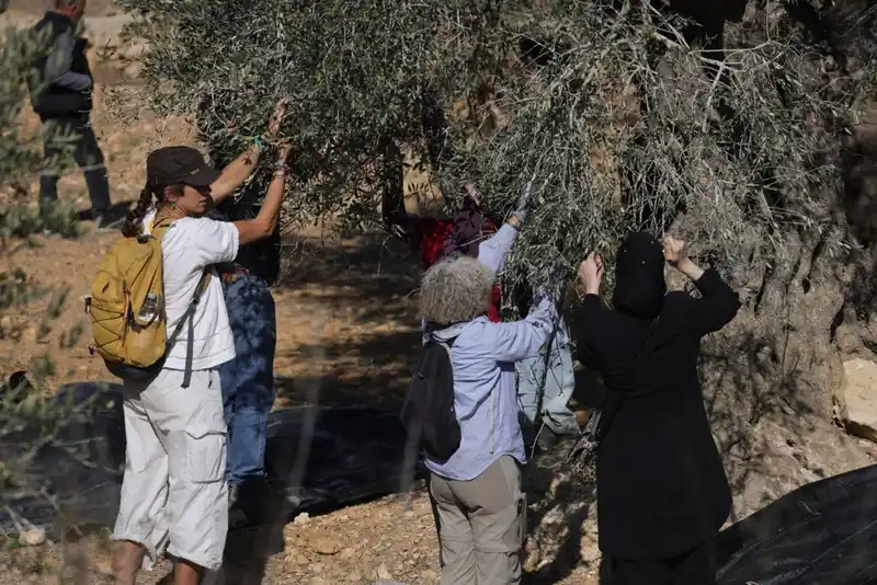 İsrail, geçtiğimiz ay Batı Şeria’da 2 bin 350 saldırı gerçekleştirdi
