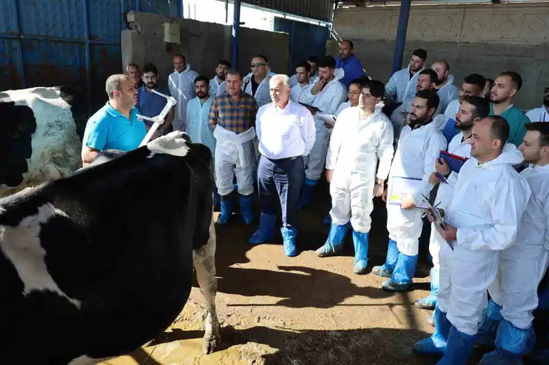 Aksaray’da 60 ilin personeline ineklerin başında uygulamalı eğitim
