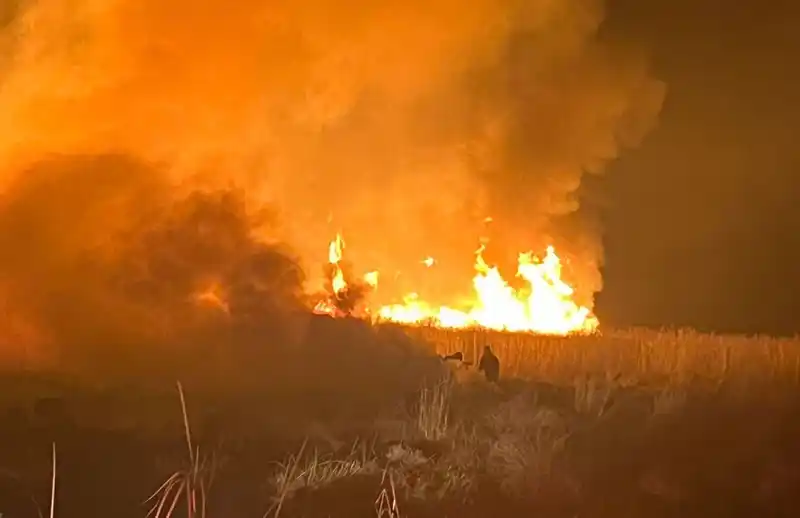 Hakkari’de kuş cennetinde yangın
