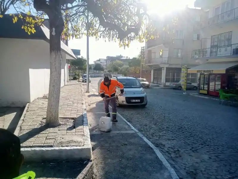 Germencik’te kireçleme ve ağaç budama çalışması