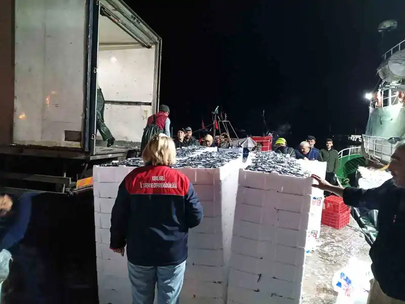 Demirköy’de hamsi denetimi