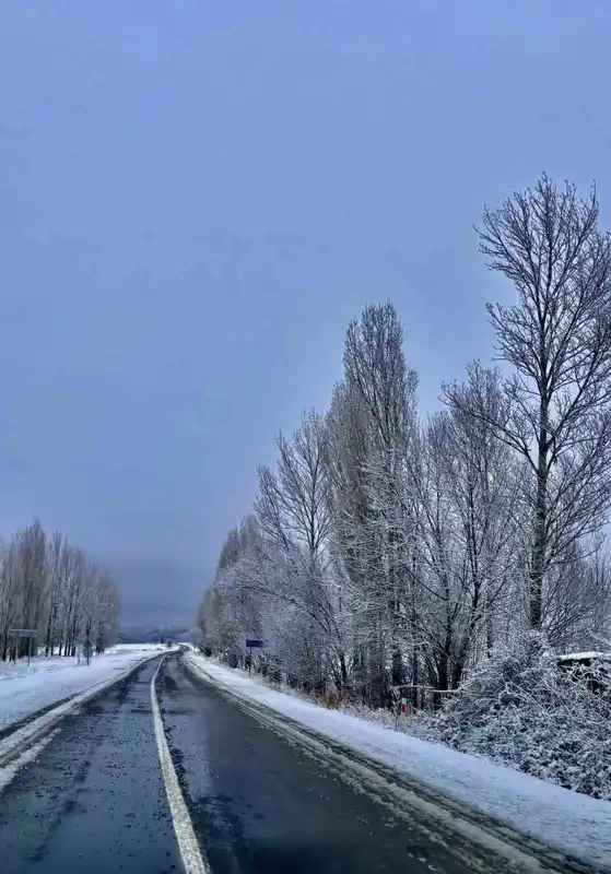Gökçedere’de kar yağışı sonrası ağaçlar beyaz örtüyle kaplandı