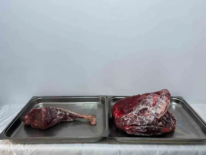 Karaman’da yaban keçisi avlayan şahıslara 954 bin 208 lira ceza