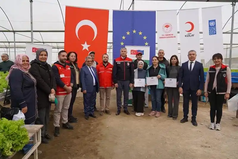 Adana’da topraksız marul yetiştiriciliği başladı