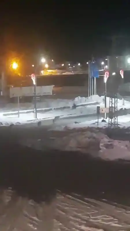 Karayazı’da akşam saatlerinde kurt alarmı