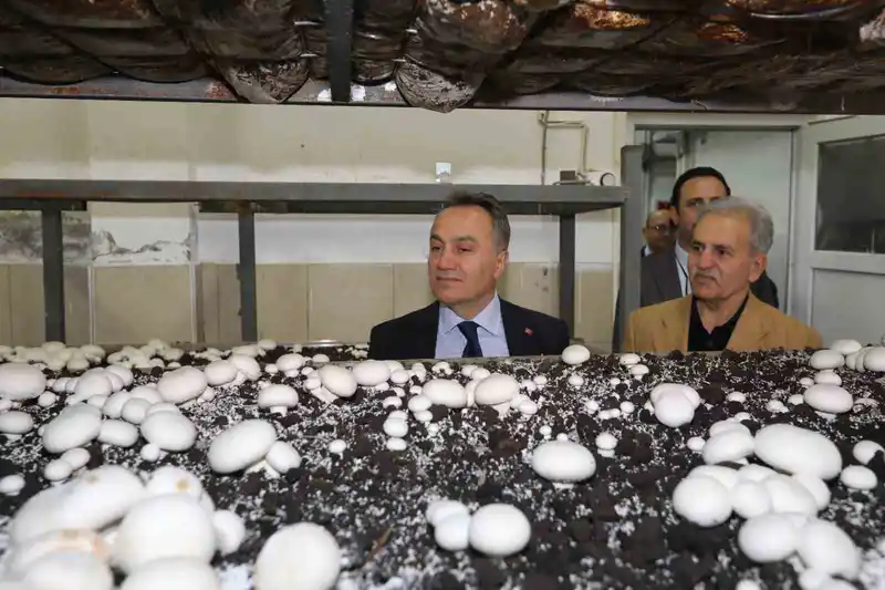 TOGÜ’de üretime dayalı eğitim modelleri güçleniyor