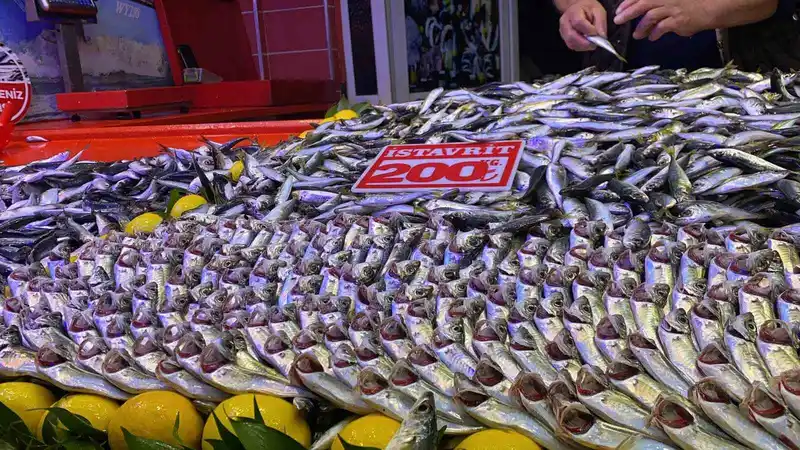 Bolu’da fırtına balık tezgahlarını vurdu