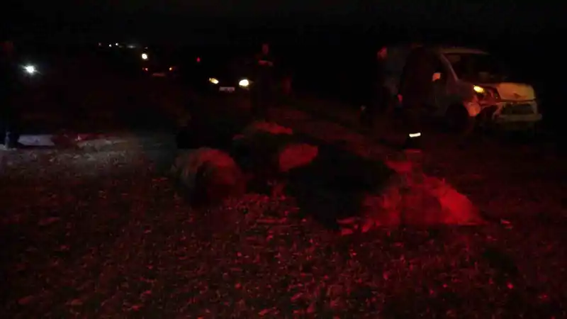 Hafif ticari araç sürüye daldı, 10’dan fazla koyun telef oldu