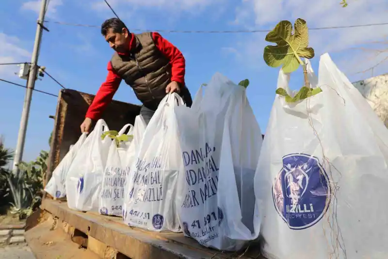 Nazilli Belediyesi’nin dağıttığı binlerce ağaç fidanı kısa sürede tükendi