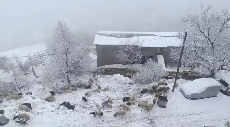 Bahçesaray’da kar yağışı