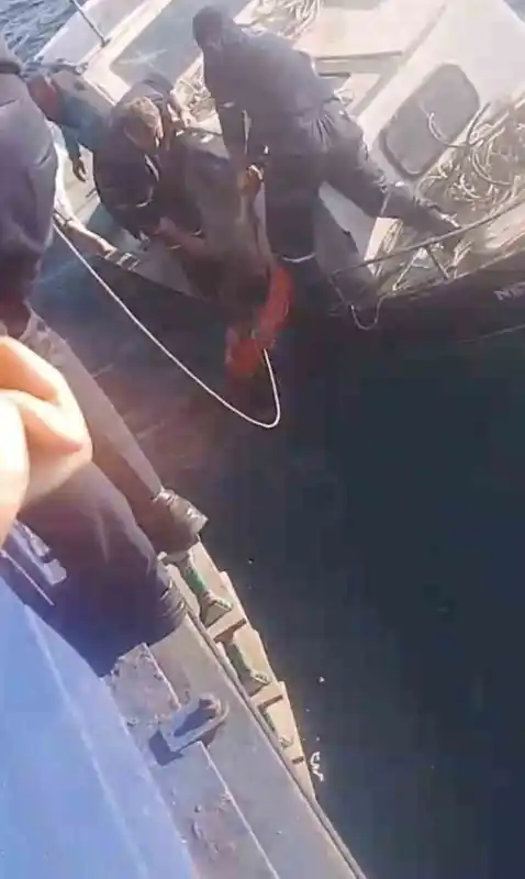 Feribottan atlayan kişiyi Gestaş personelleri ve balıkçılar kurtardı