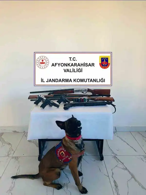 Jandarmadan ruhsatsız silah operasyonu