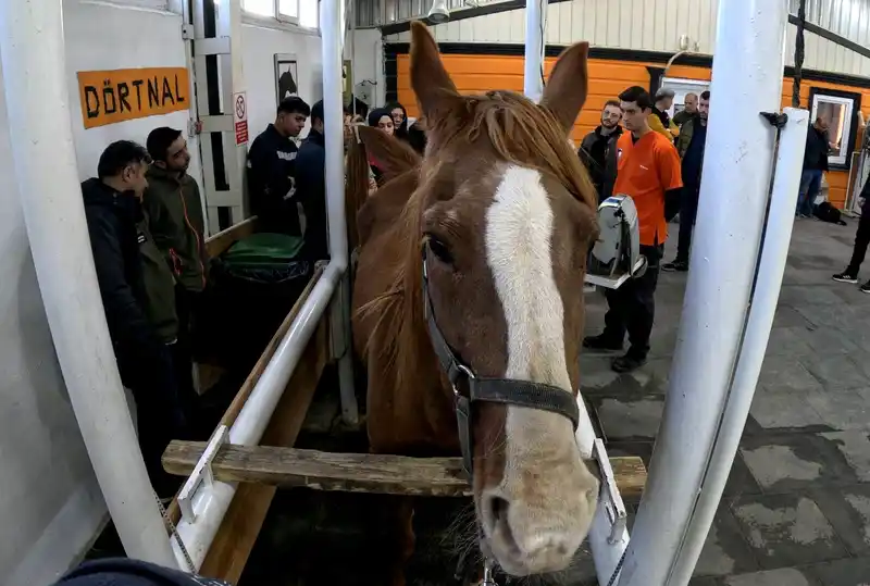 Eskişehir’de ’Kısraklarda Suni Tohumlama Eğitimi’ başarıyla tamamlandı

