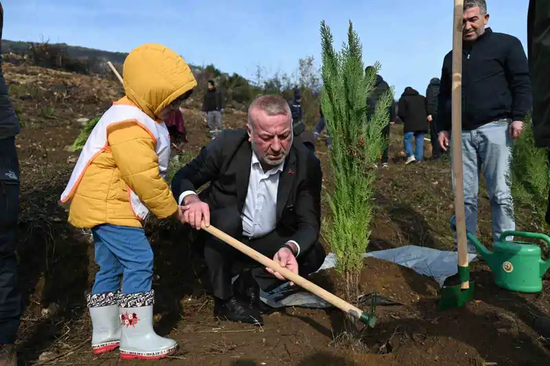 Karacabey’de yangın sonrası ilk fidanlar toprakla buluştu
