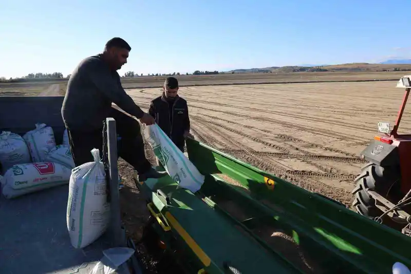 Çukurova’da buğday ekimi başladı
