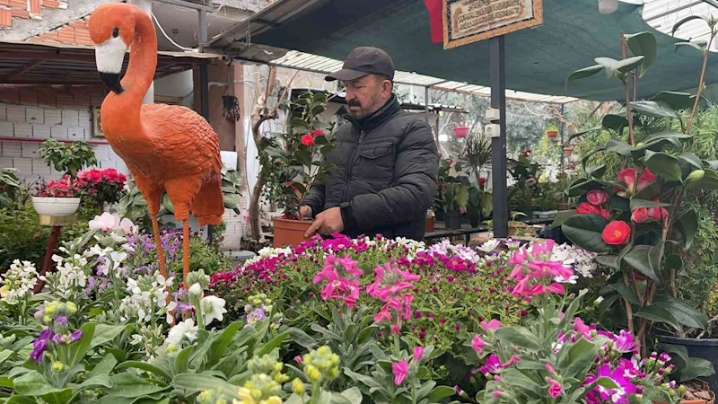 Ağabeyinden hatıra kalan çiçekçi dükkânını botanik kafeye çevirdi
