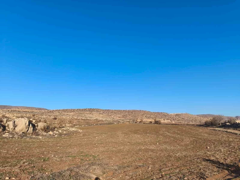 Siirt’te kış ayı kurak geçiyor
