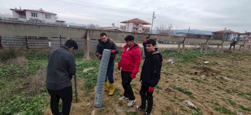 Tarım öğrencileri 200 zeytin fidanı dikti
