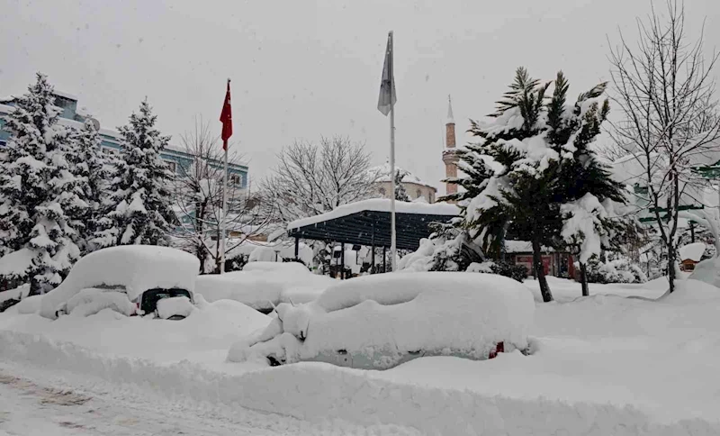 Artvin şehir merkezinde kar esareti
