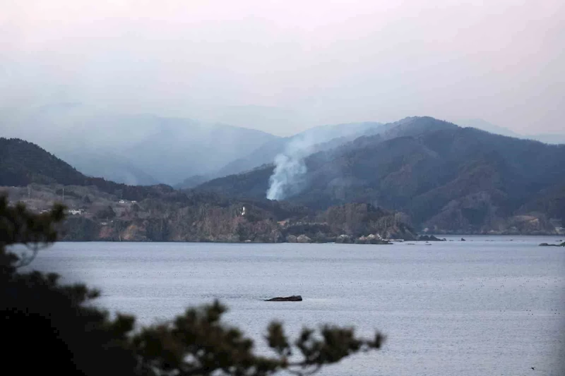 Japonya’daki orman yangınında 1 kişi hayatını kaybetti
