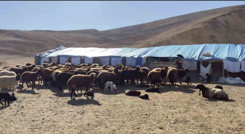 Elazığ’da karantina uygulanan 3 ilçede ekiplerin çalışmaları sürüyor
