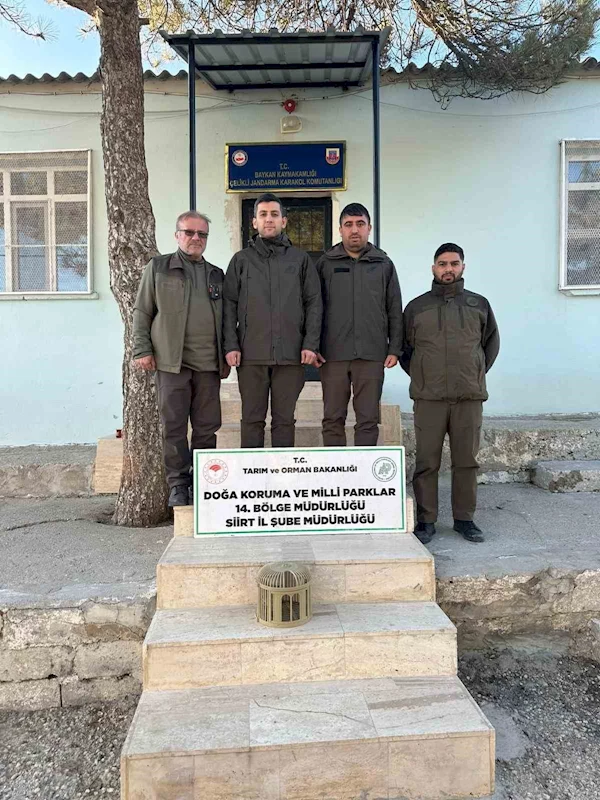 Siirt’te kaçak avlanan keklikler doğaya bırakıldı
